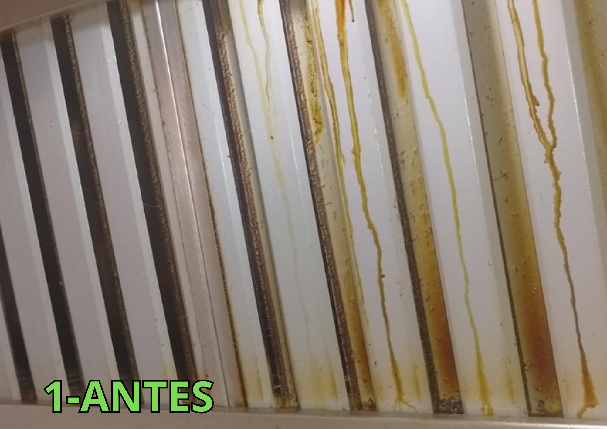 Limpeza de Coifa